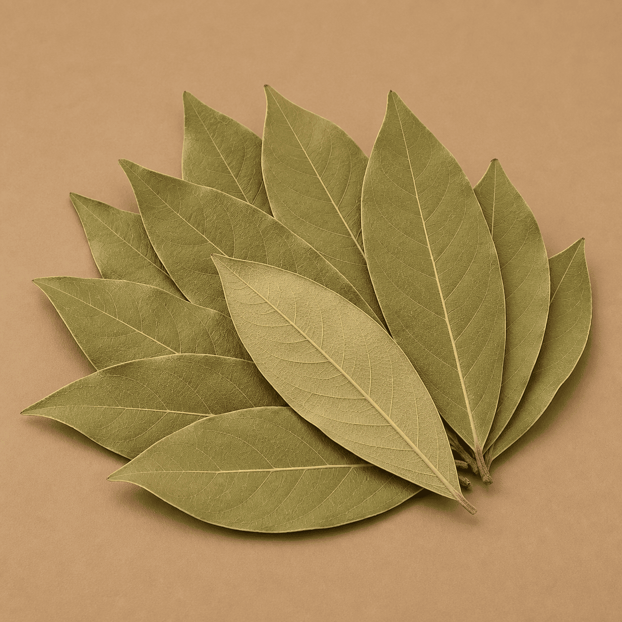 Bay Leaves / Tez Patta - Image 2
