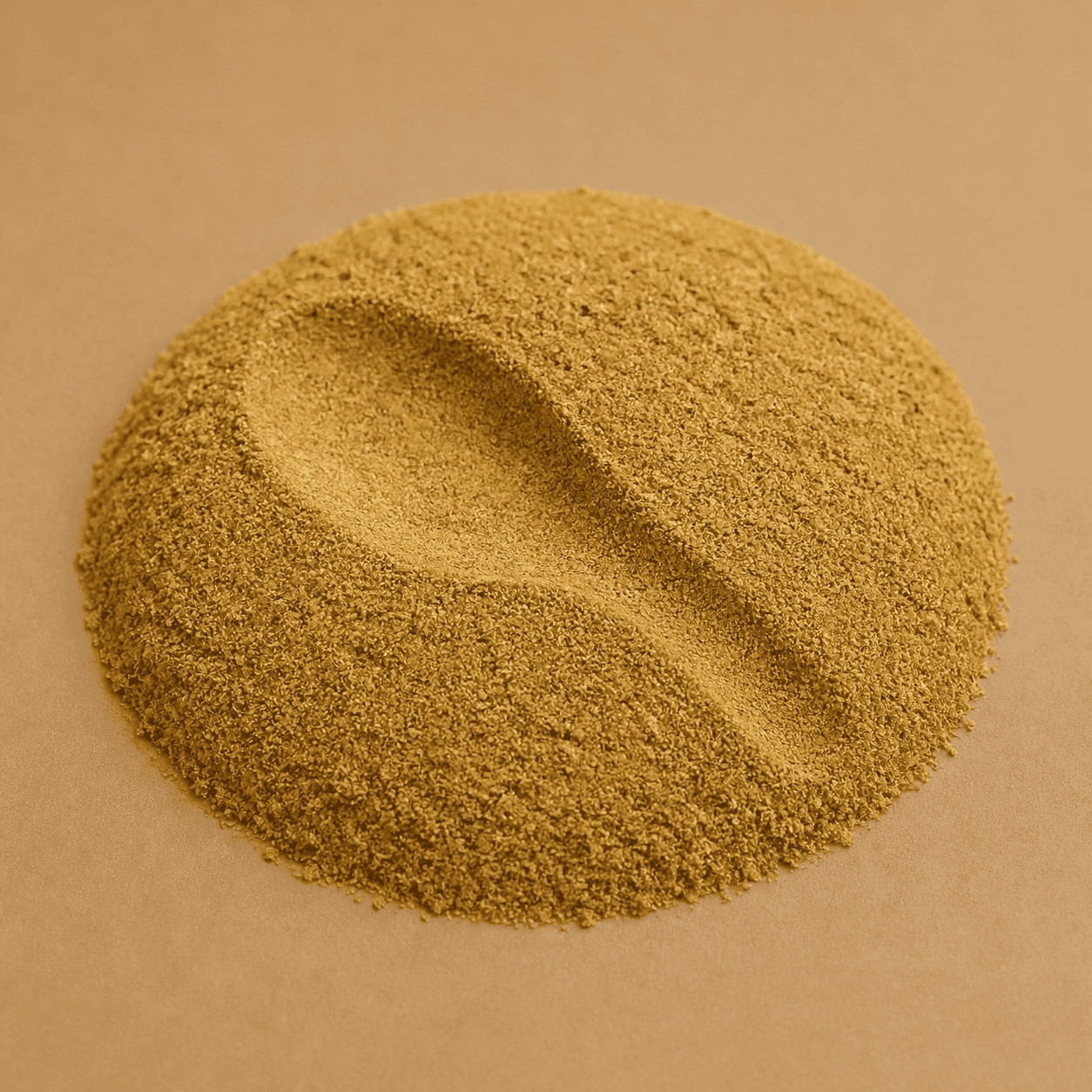 Coriander Powder - Image 2