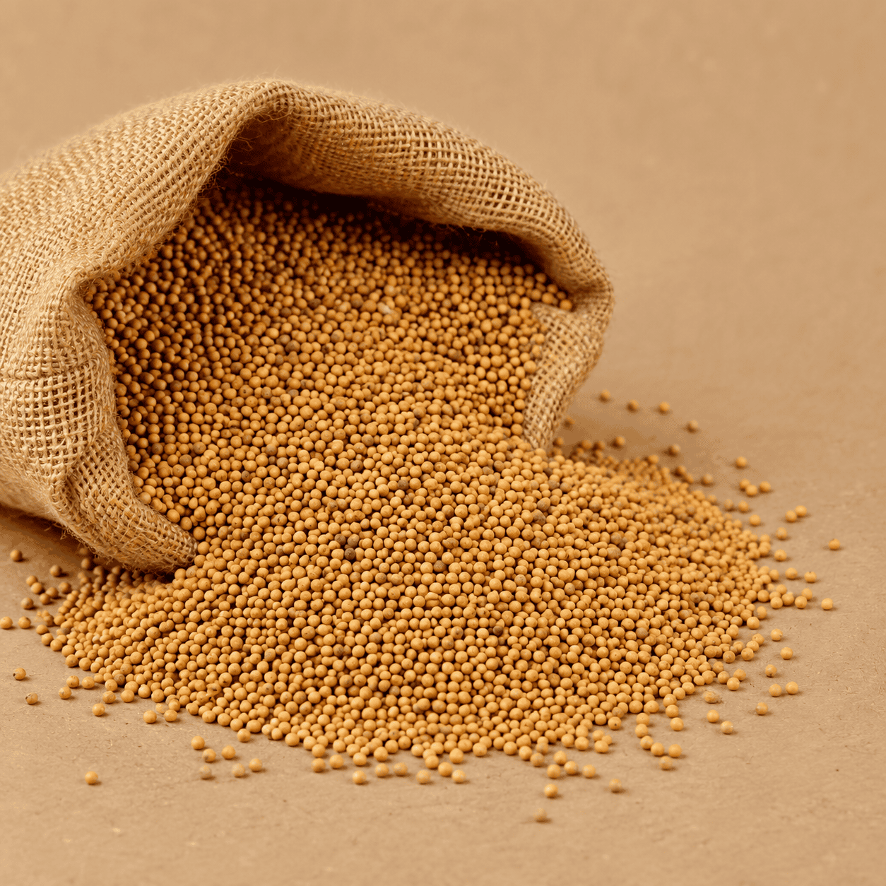 Mustard Seeds / Rai - Image 2
