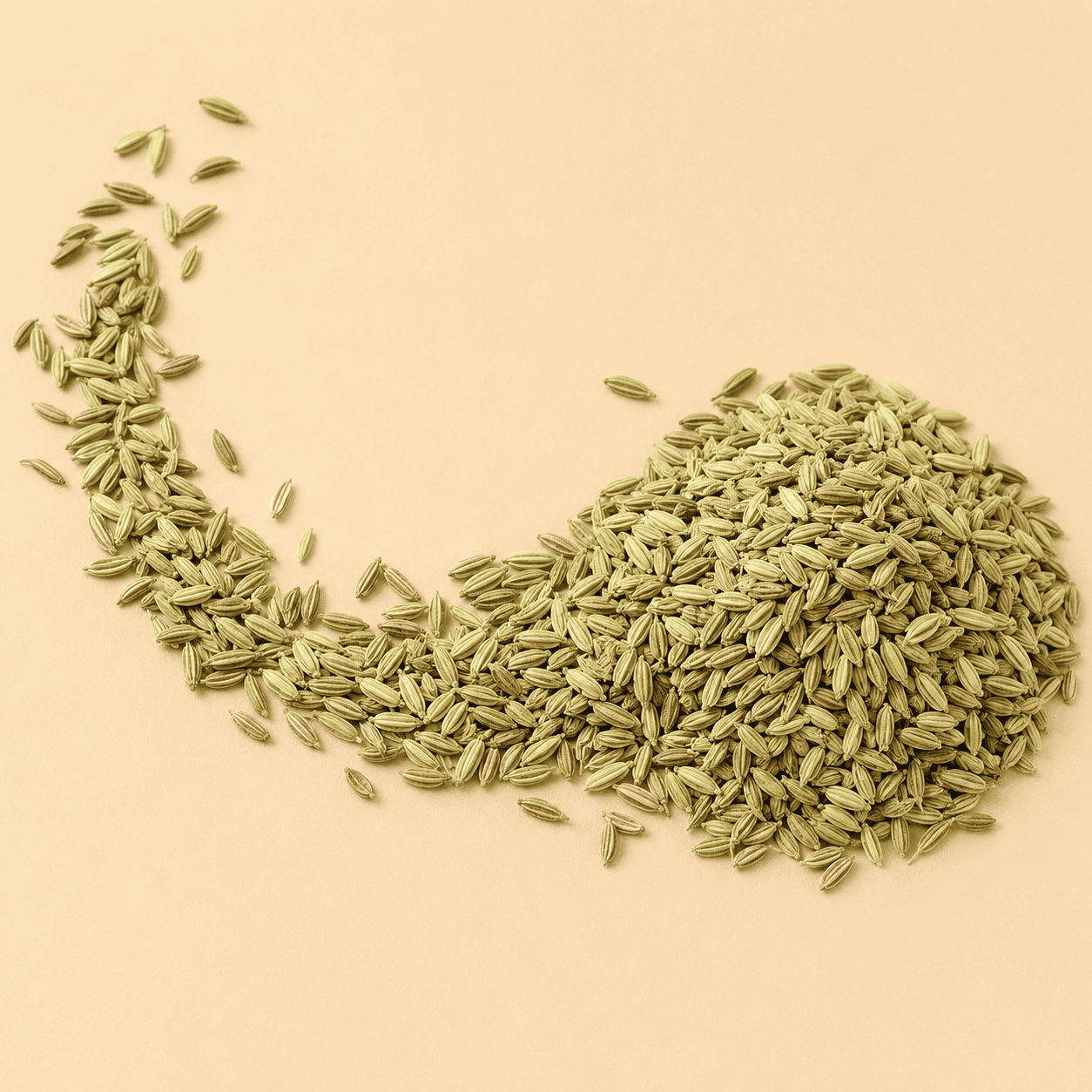 Fennel Seeds / Saunf - Image 3